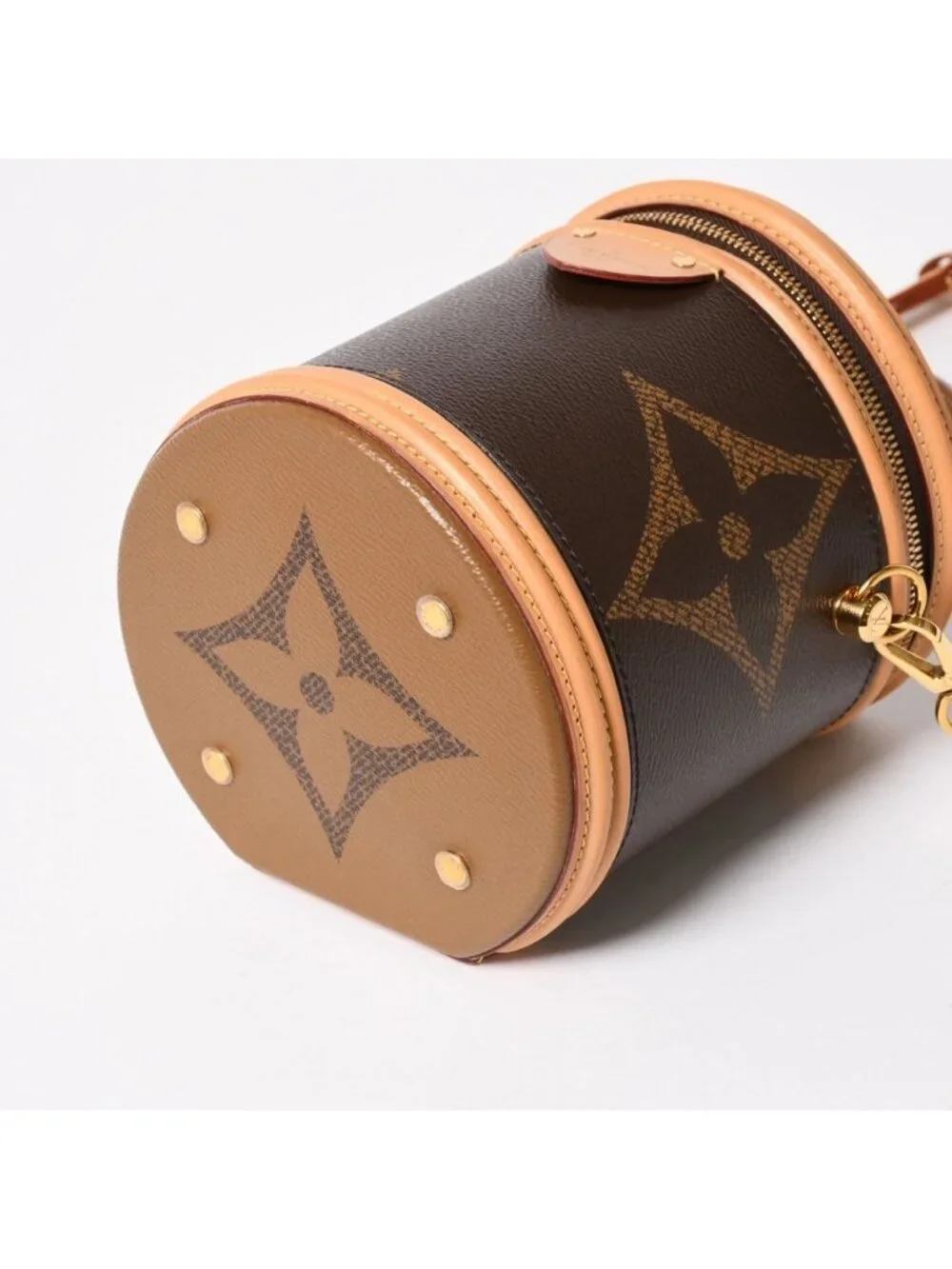 Louis Vuitton Cannes Vanity Monogram Giant Brown Reverse Shoulder Bag